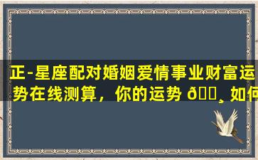 正-星座配对婚姻爱情事业财富运势在线测算，你的运势 🌸 如何